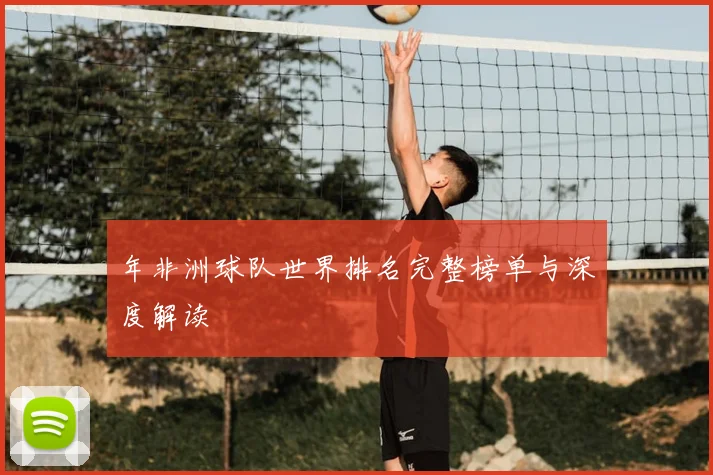 年非洲球队世界排名完整榜单与深度解读