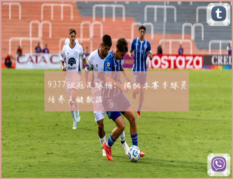 9377欧冠足球辅：揭秘本赛季球员培养关键数据