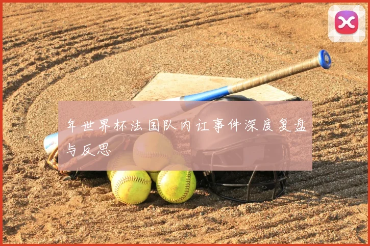 年世界杯法国队内讧事件深度复盘与反思
