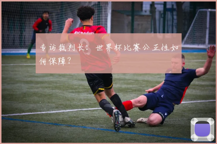 专访裁判长:世界杯比赛公正性如何保障?
