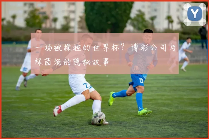 一场被操控的世界杯?博彩公司与绿茵场的隐秘故事