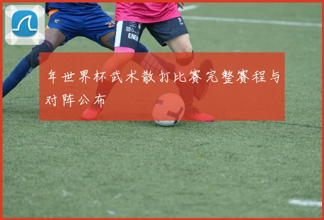 年世界杯武术散打比赛完整赛程与对阵公布