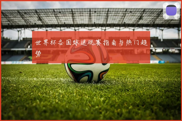 世界杯各国球迷观赛指南与热门趋势