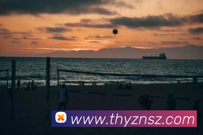 emc易倍官网平台生态图